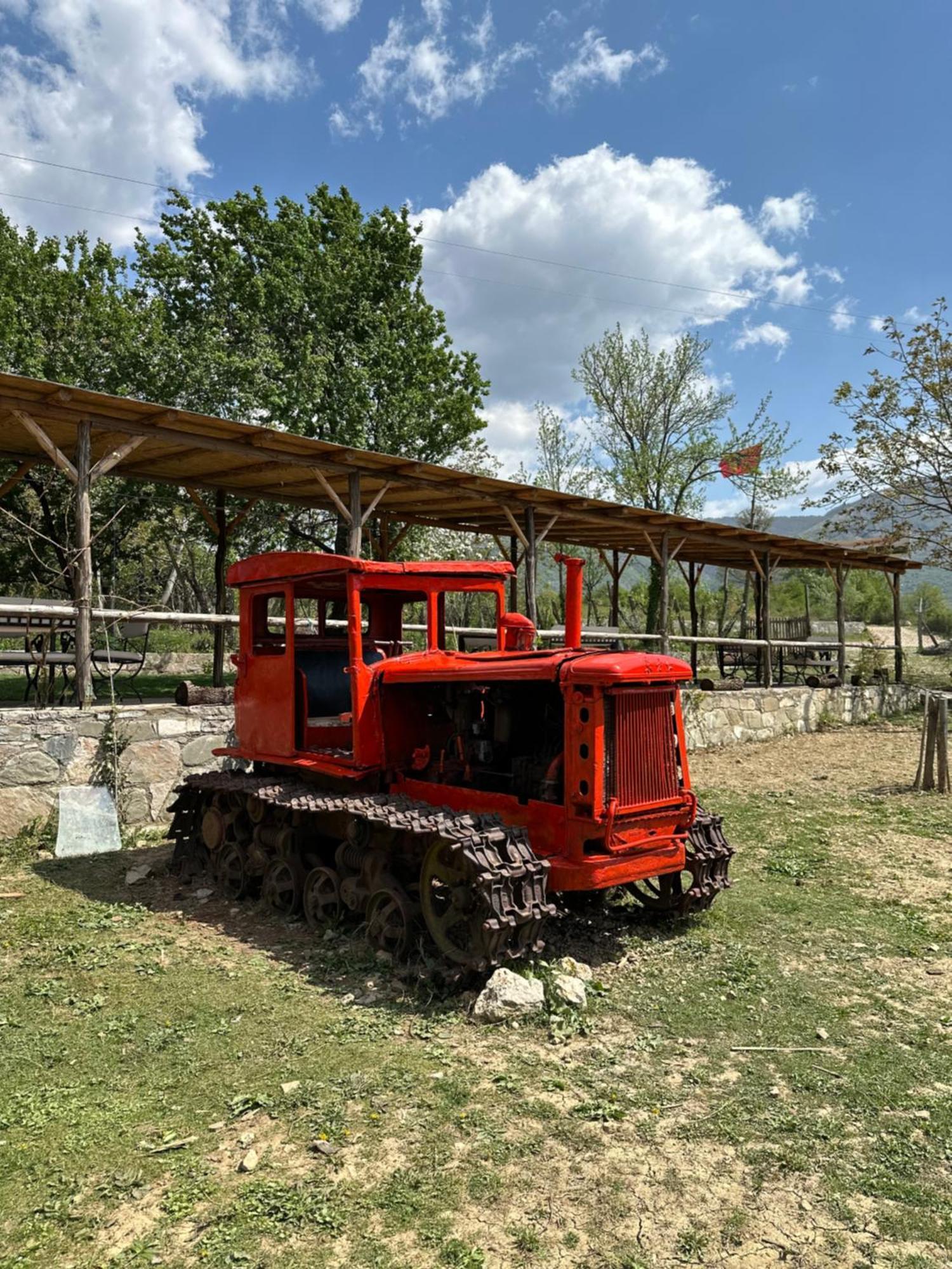Disha Tirana