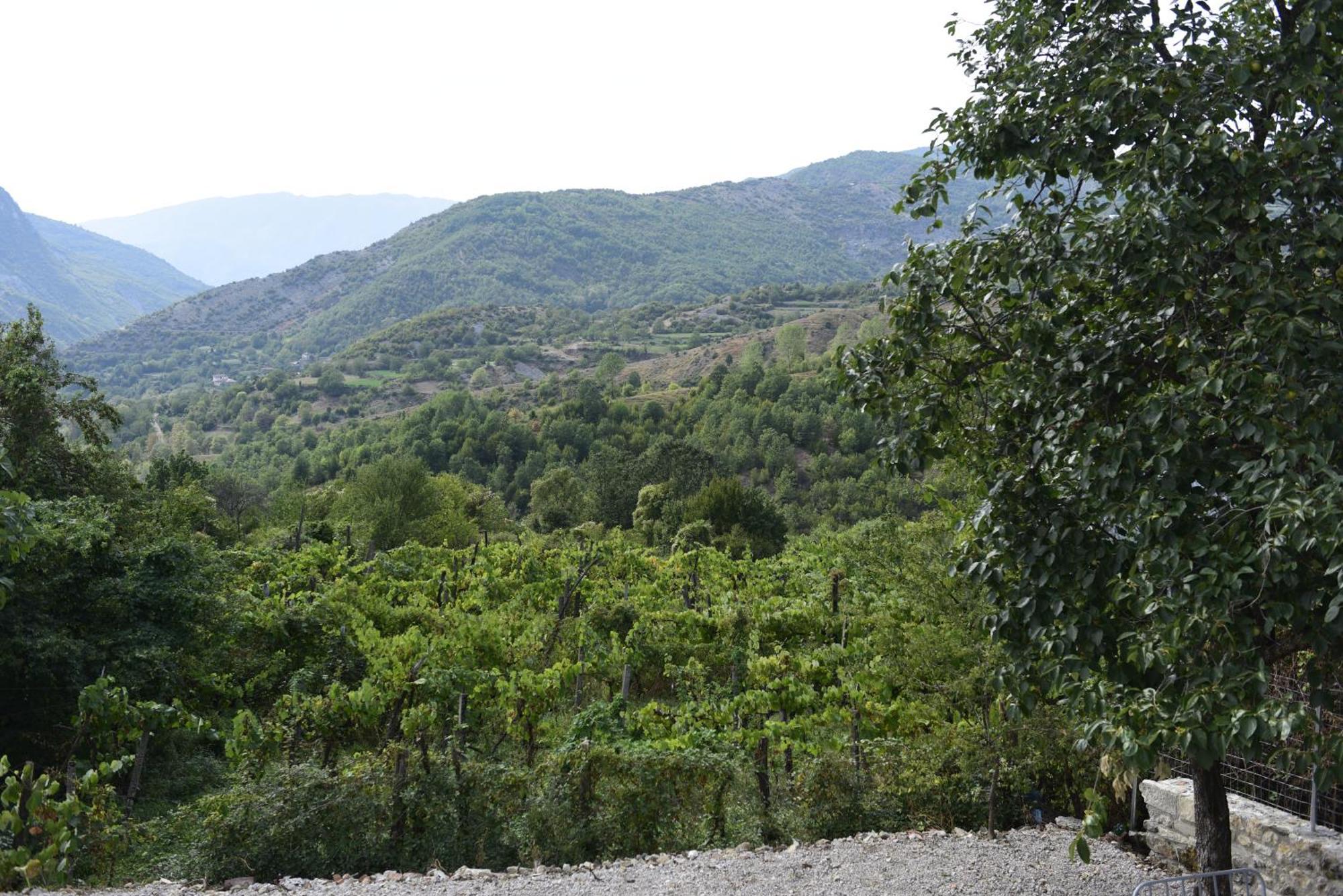Lodge Disha Tirana