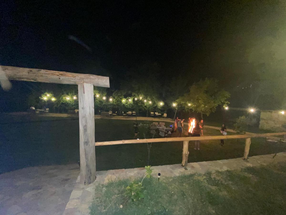 Disha Lodge Tirana