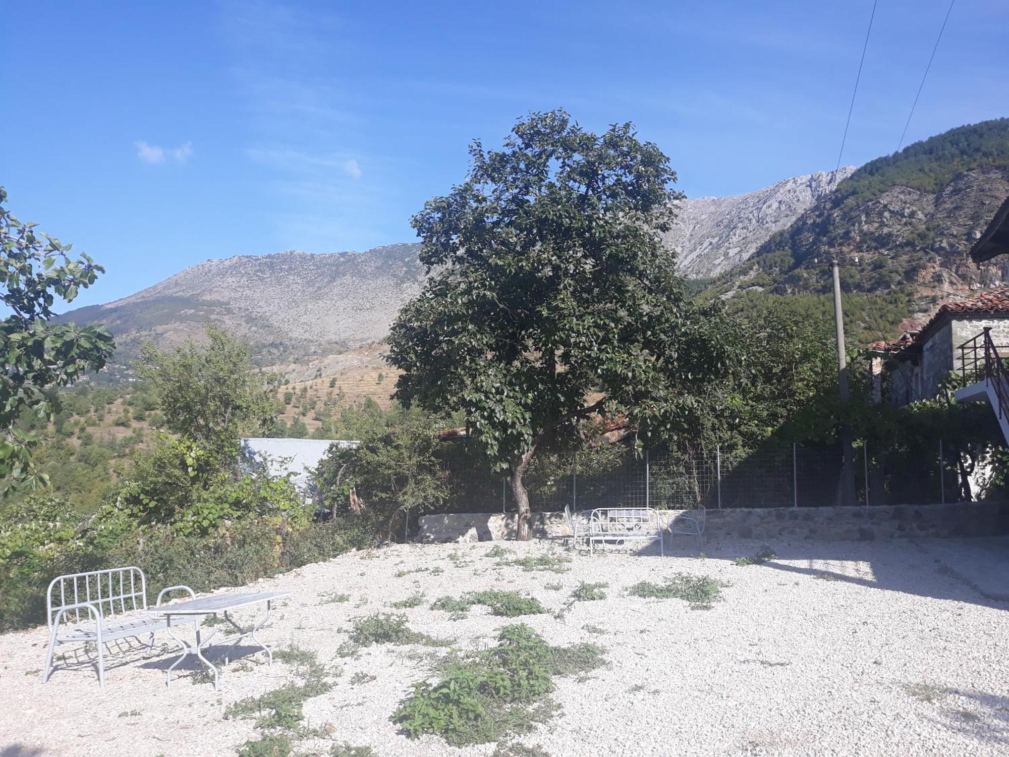 Disha Lodge *